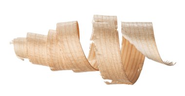 Beyaz arka planda izole edilmiş kıvırcık ahşap