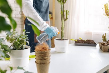 Tanımlanamayan kadın ev bitkisini yakından naklediyor..