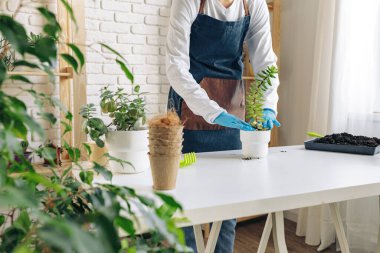 Tanımlanamayan kadın ev bitkisini yakından naklediyor..