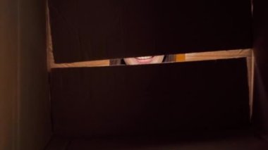 Kutunun içinden mutlu bir şekilde şaşırmış genç kadına bak. 