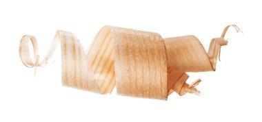 Beyaz arka planda izole edilmiş kıvırcık ahşap