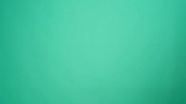 İnsanlar birbirine kahve dağıtırken el ele, kahve dağıtırken arka planda nane.