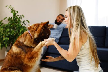 Genç ve sevgi dolu bir çift oturma odasında köpekleri ile dinleniyor.