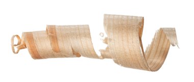 Beyaz arka planda izole edilmiş kıvırcık ahşap