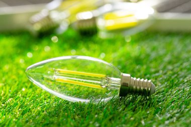 Çimenlerin üzerinde duran enerji tasarruflu ampul