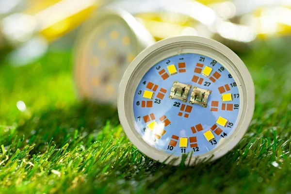 Energy efficient light bulb lying on grass