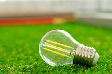Çimenlerin üzerinde duran enerji tasarruflu ampul