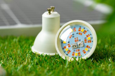 Çimenlerin üzerinde duran enerji tasarruflu ampul