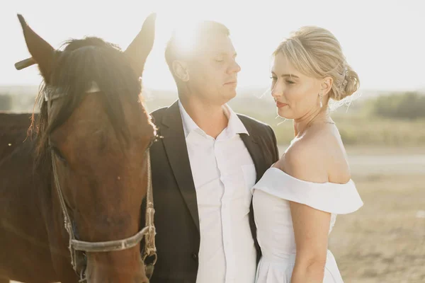Mariée et marié posant avec un cheval au coucher du soleil — Photo