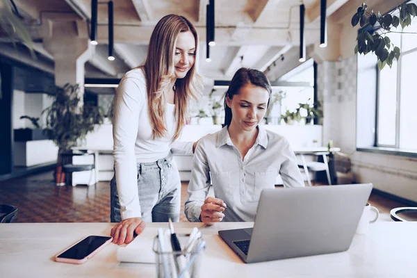 Two young female colleagues discussing business project together in office — Stock Photo, Image