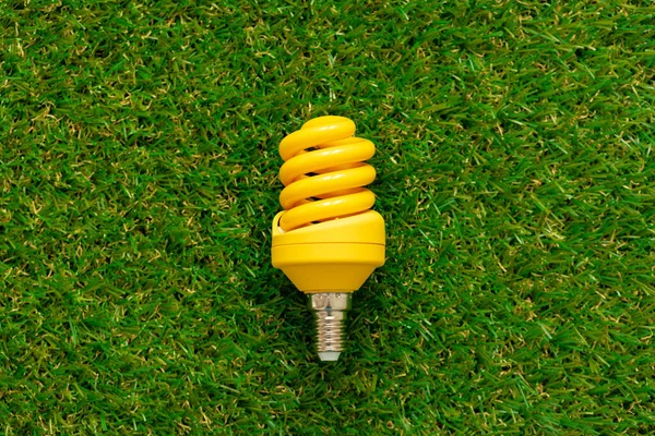 芝生に寝そべっているエネルギー効率の良い電球 — ストック写真