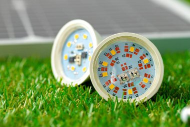 Çimenlerin üzerinde duran enerji tasarruflu ampul