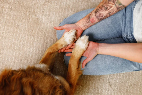 Woman holding dogs paws in her hands on the floor close up — Stock Photo, Image