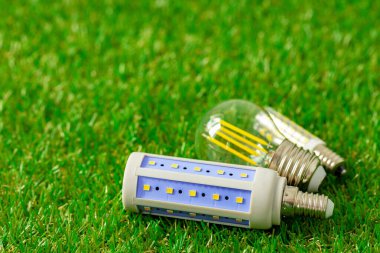 Çimenlerin üzerinde duran enerji tasarruflu ampul
