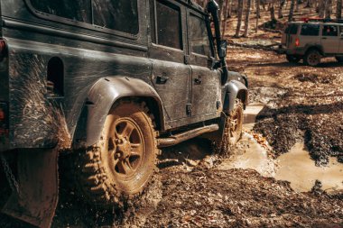 Offroad araba çamur orman yolunda sürüş