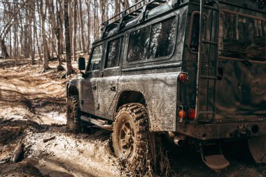 Offroad araba çamur orman yolunda sürüş