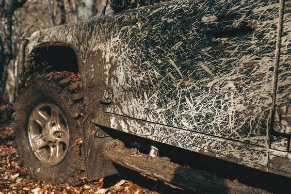 Sucio off road car en viaje en el bosque — Foto de Stock