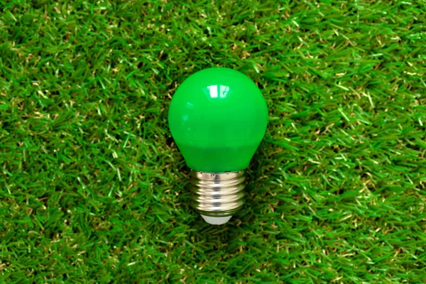 Energy efficient light bulb lying on grass