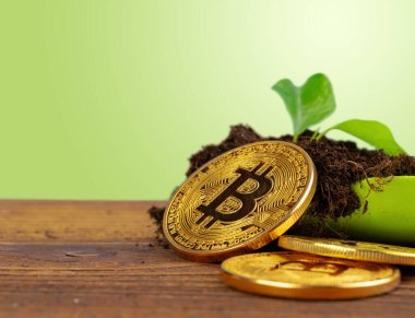 Filiz bitkisi ve bitcoin, bitcoin kripto para büyümesi