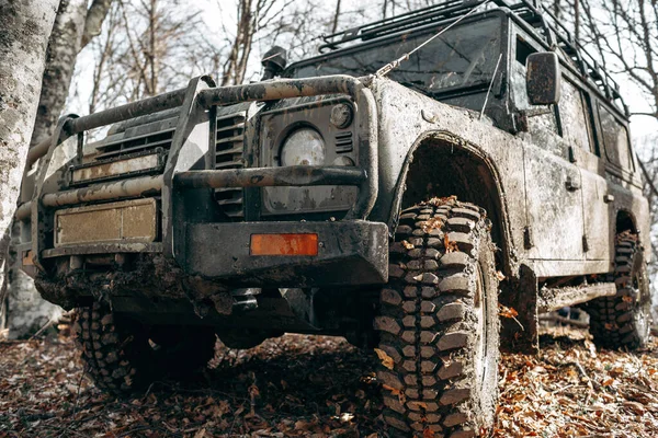 Dirty off road car on trip in forest — Stock fotografie