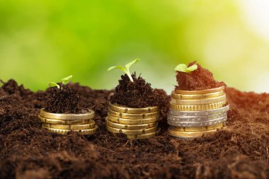 Avrupa sikkeleri ve bitki filizleri, mali büyüme kavramı