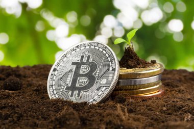 Filiz bitkisi ve bitcoin, bitcoin kripto para büyümesi