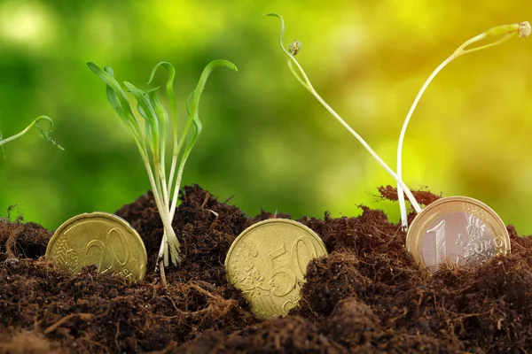Euro coins and plant sprouts, financial growth concept