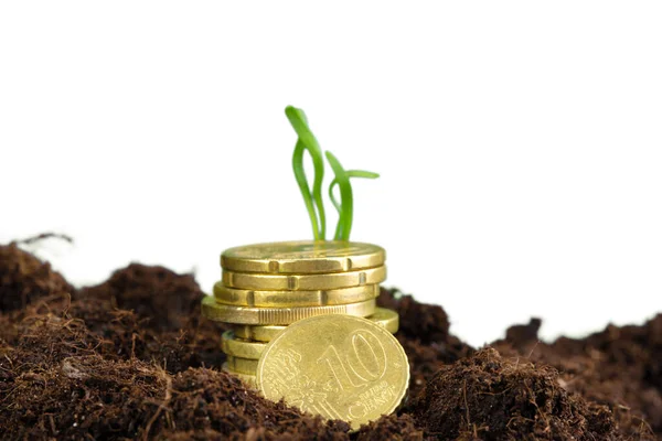 Євро монети і рослинні паростки, поняття фінансового зростання — стокове фото