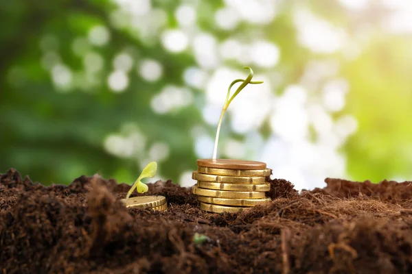 유로 동전 과 식물 콩나물, 경제 성장 개념 — 스톡 사진