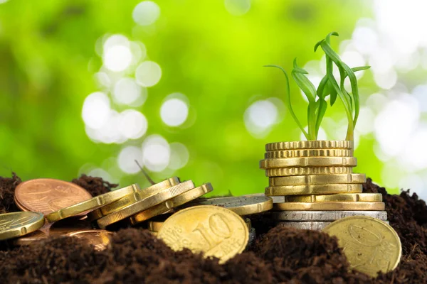 欧元硬币和植物芽，金融增长概念 — 图库照片