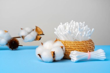 Pamuk tomurcukları mavi kağıda yapışıyor.