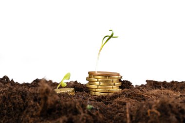 Avrupa sikkeleri ve bitki filizleri, mali büyüme kavramı