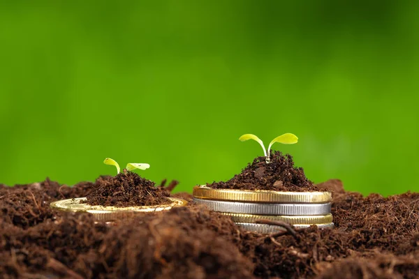 Munten stapel van geld en groeiende plant, financieel concept — Stockfoto