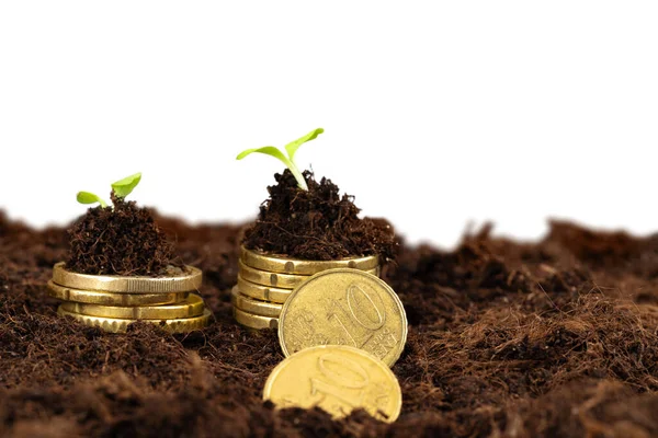 Монеты евро и растительная капуста, концепция финансового роста — стоковое фото