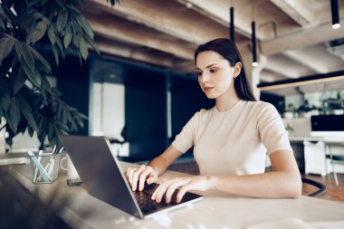 Genç çekici iş kadını ofiste dizüstü bilgisayarla çalışıyor.