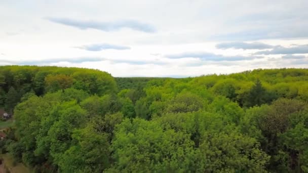 Vista aérea sobre el bosque de árboles verdes durante el día en primavera en el oeste de Ucrania — Vídeo de stock