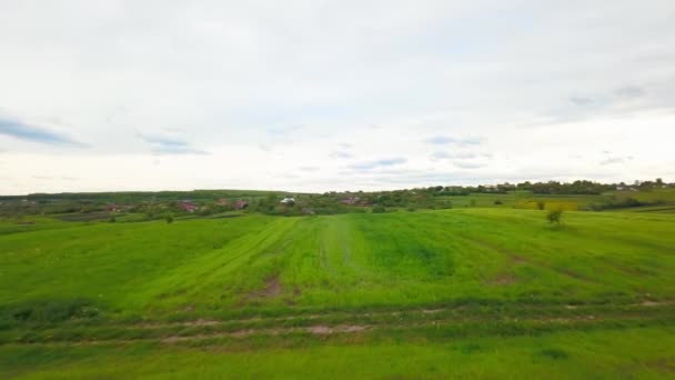 Повітряний безпілотний вид на зелені сільськогосподарські поля в сільській місцевості України. — стокове відео