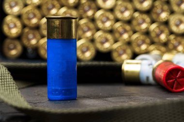 Av tüfeği için fişekler.