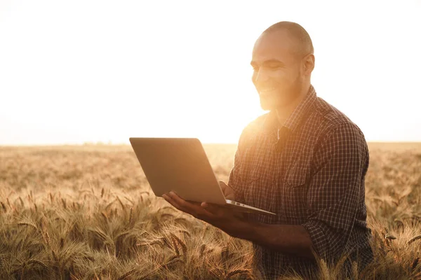 Férfi használ laptop, miközben áll a búza mező naplementekor — Stock Fotó