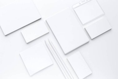 Fotoğraf. İşletme kimliğinin şablonu. Grafik tasarımcıları sunumları için