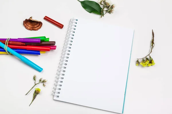 Conjunto de marcadores de ponta de feltro em cores diferentes e um caderno de esboços em branco com um espaço para texto — Fotografia de Stock