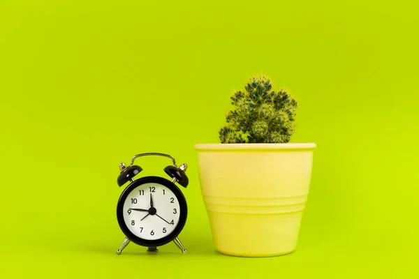 Vintage black alarm clock on a bright green background — Stock Photo, Image