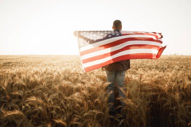 Buğday tarlasında dikilen Amerikan bayrağını tutan genç adam