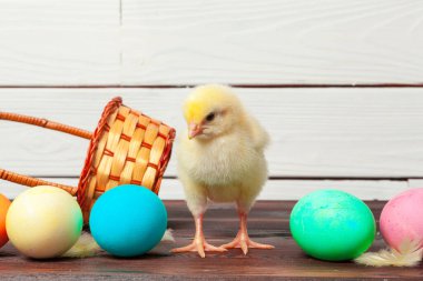 Tahta masada paskalya yumurtası taşıyan piliç.