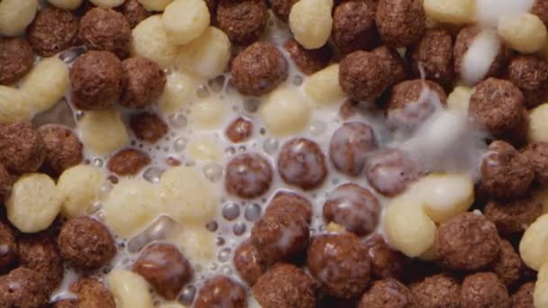 Leite derramando em uma tigela com bolas de chocolate cereais para o café da manhã — Vídeo de Stock