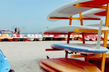 Sahildeki raflara istiflenmiş sörf tahtaları