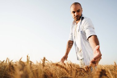Genç adam gün batımında buğday tarlasında duruyor.