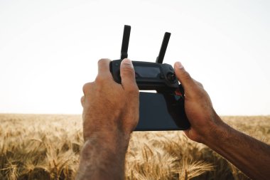 Erkek eller buğday tarlasında kuadkopterin uzaktan kumandasını tutuyor.