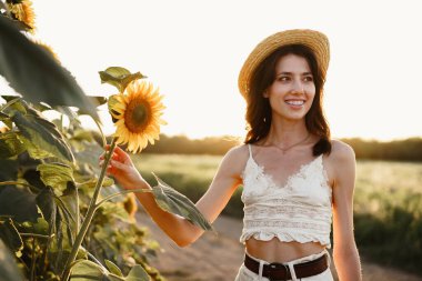 Genç bir kadın sabah ayçiçeği tarlasında yürüyüş yapıyor.