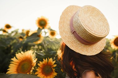 Genç bir kadın sabah ayçiçeği tarlasında yürüyüş yapıyor.